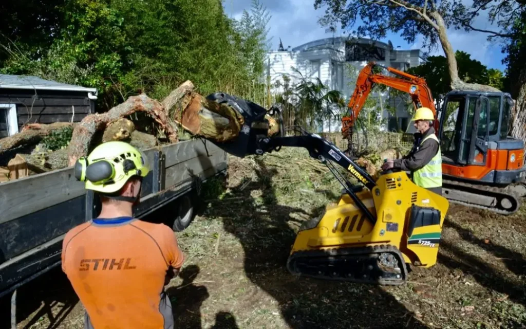 Excavation Services Northland land clearing on residential property.