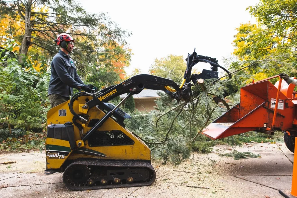 Excavation Services Northland land clearing with heavy equipment.